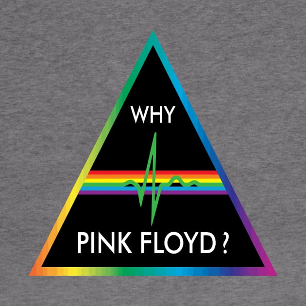 Why Pink Floyd? by Gryaunth